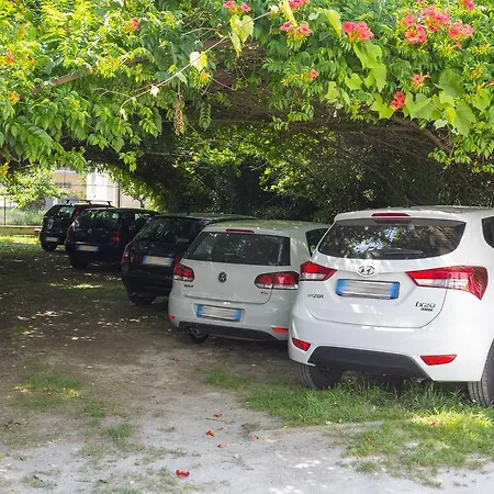 Fiori 2* Bellaria-Igea Marina