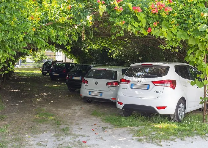 Fiori 2* Bellaria-Igea Marina